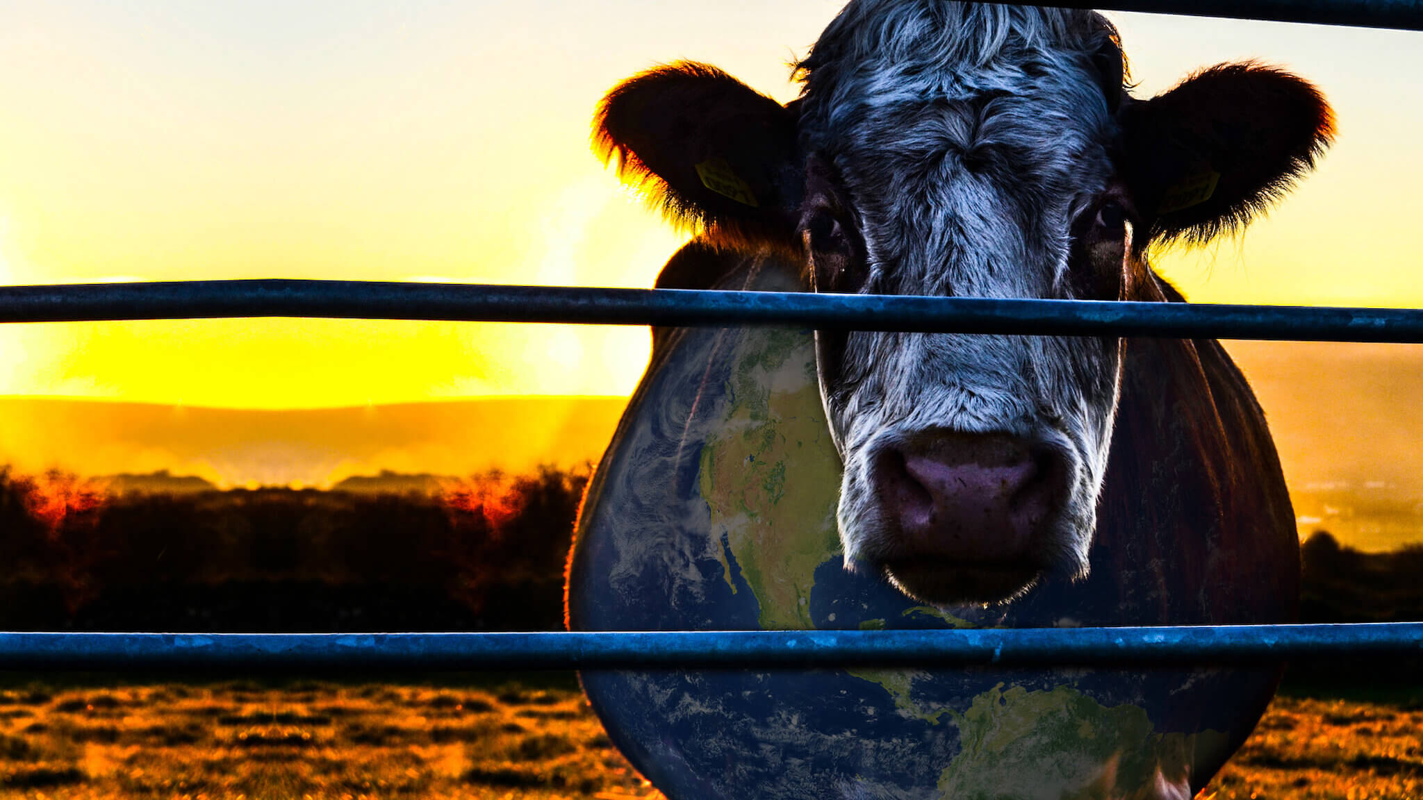 Cowspiracy