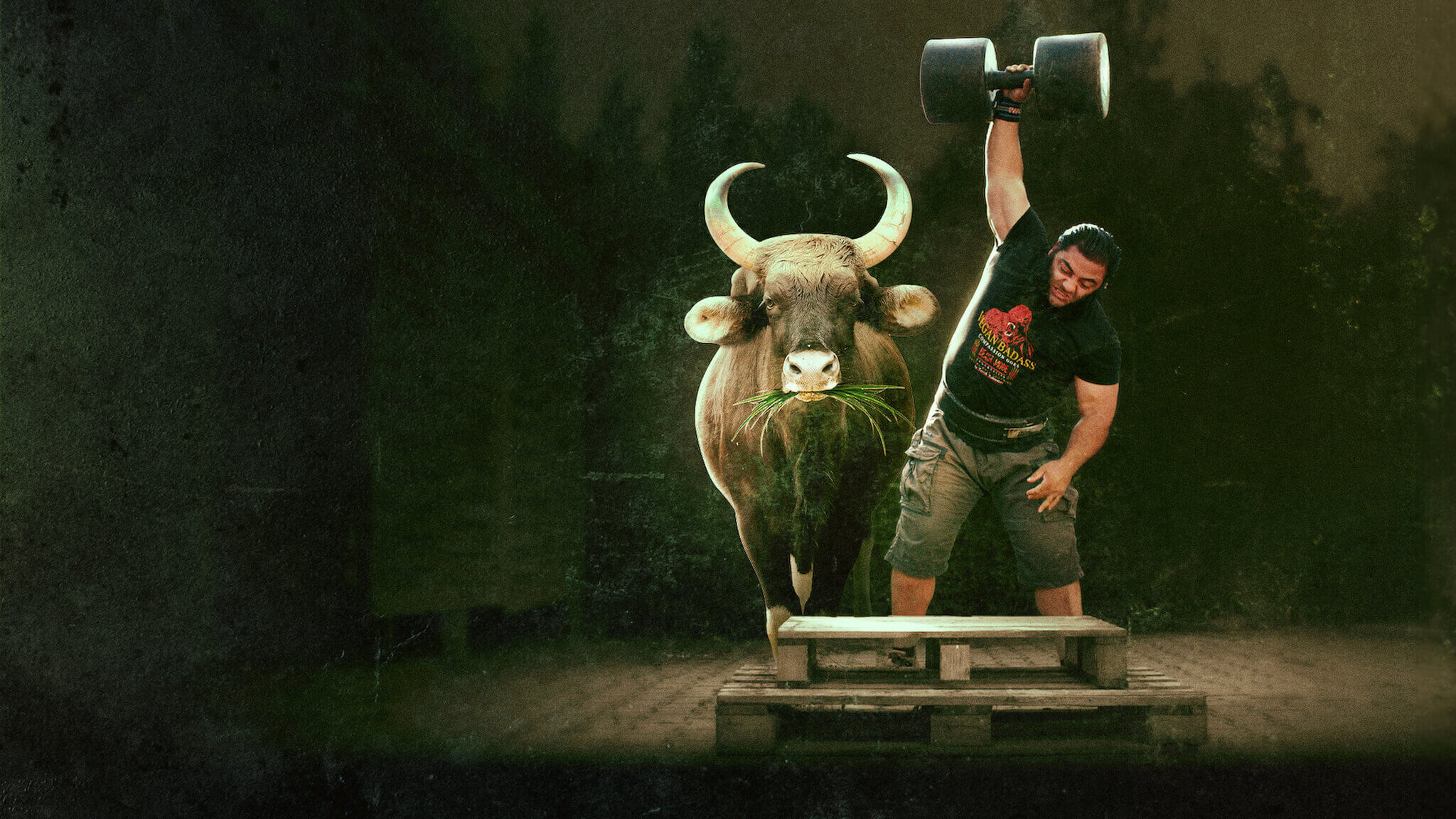 Dieta de gladiadores